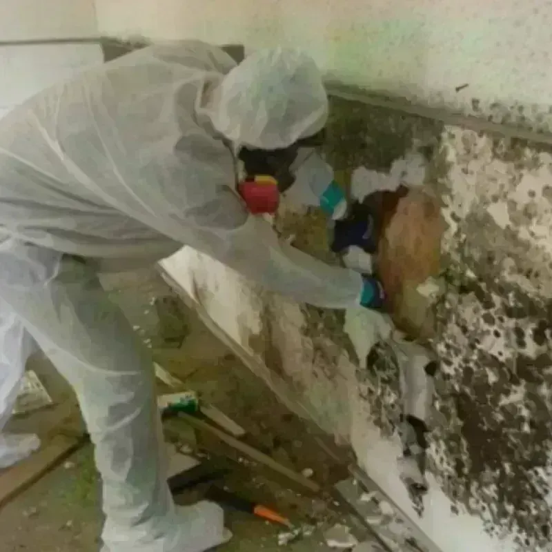 Best Mold Remediation and Removal Service in Mystic, CT